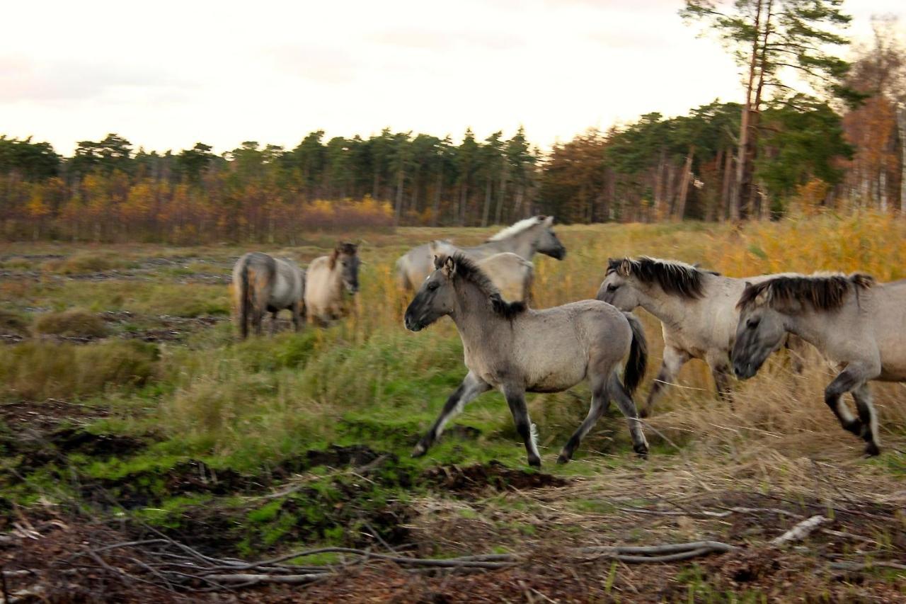 Gimleretreat Leilighet Bøtø By Eksteriør bilde